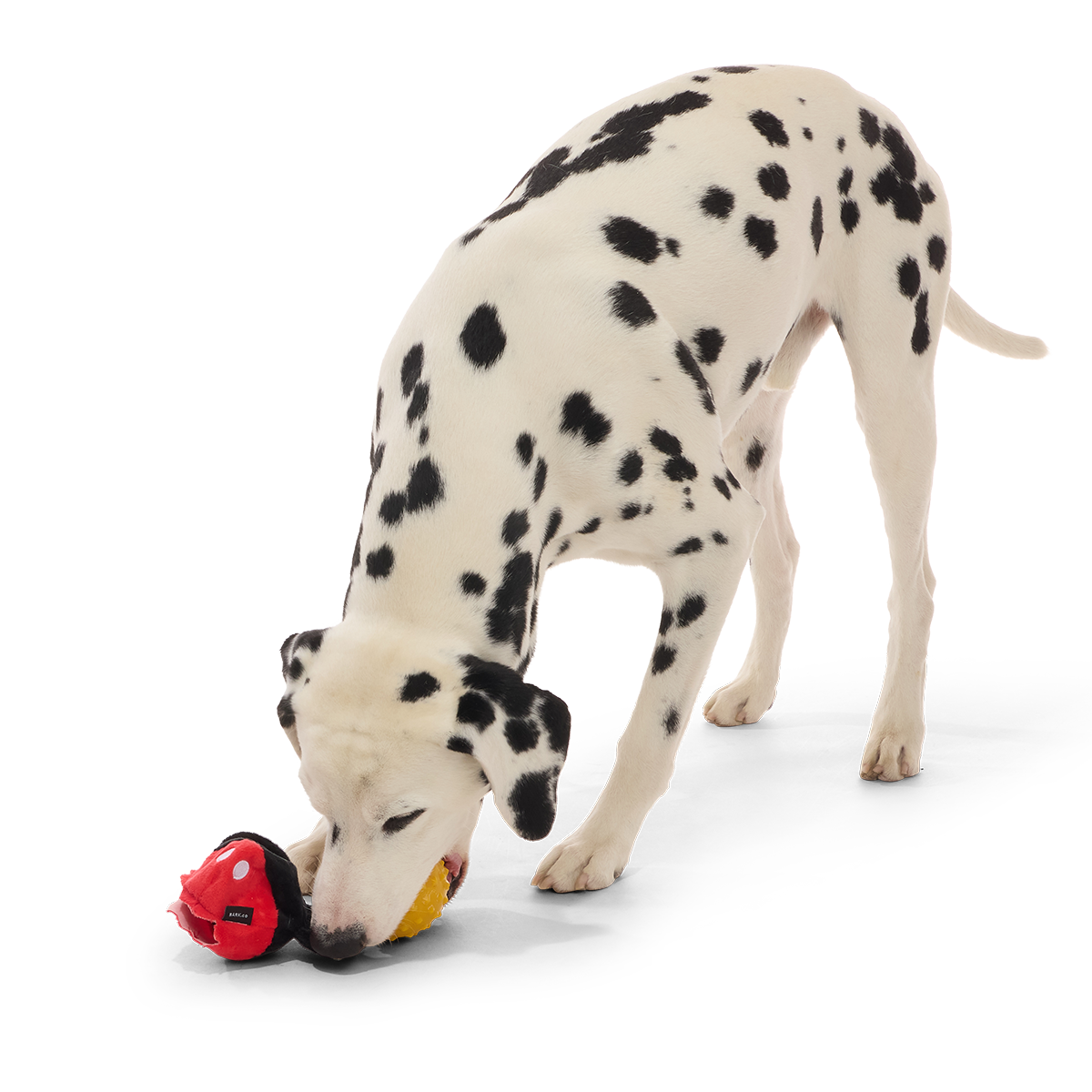 Mickey Mouse Ball Super Chewer Durable 2-in-1 + Fetch Dog Toy