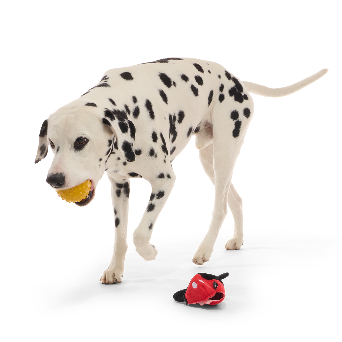 Mickey Mouse Ball Super Chewer Durable 2-in-1 + Fetch Dog Toy