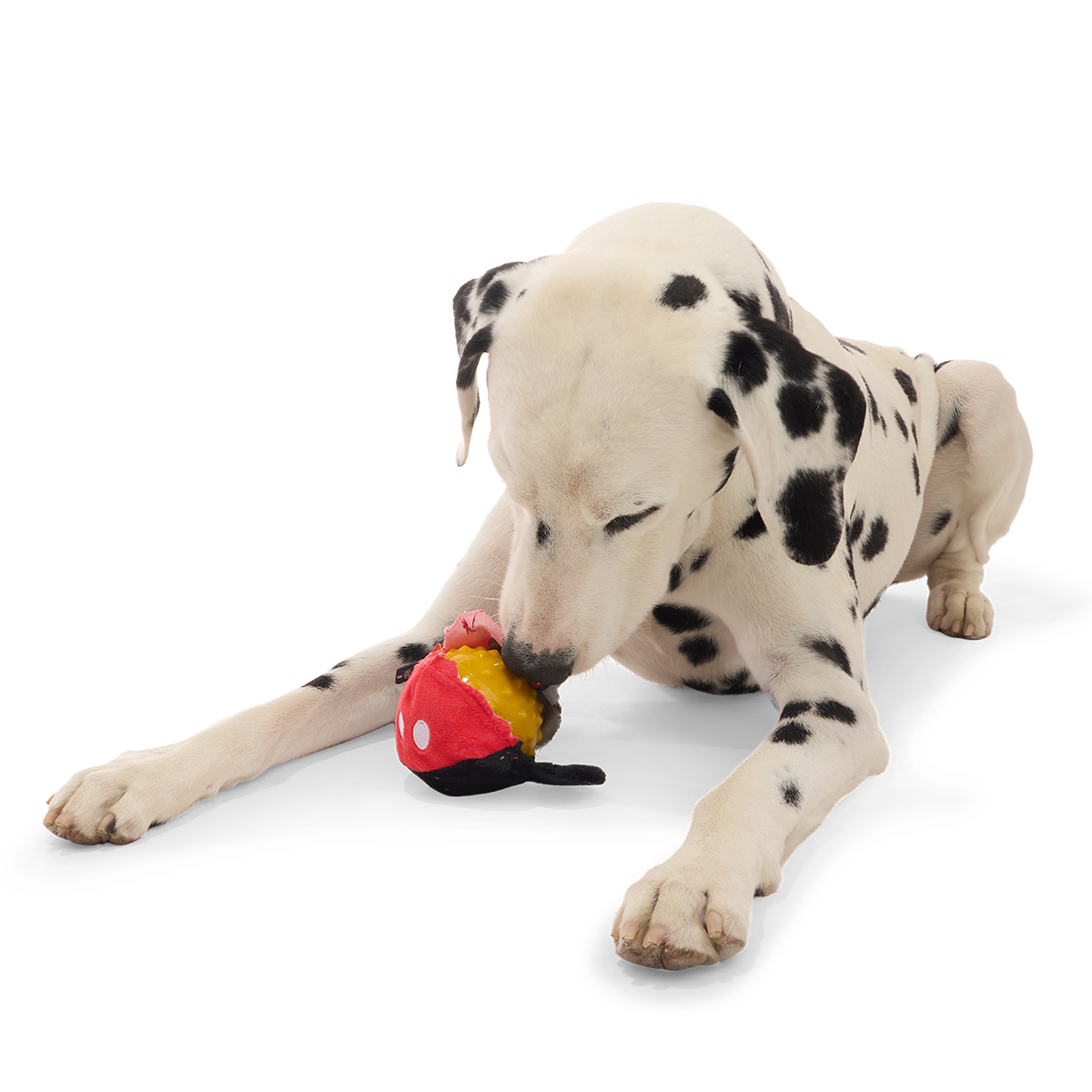 Mickey Mouse Ball Super Chewer Durable 2-in-1 + Fetch Dog Toy