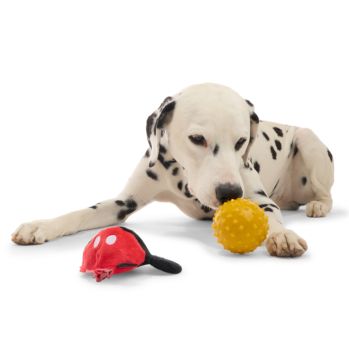 Mickey Mouse Ball Super Chewer Durable 2-in-1 + Fetch Dog Toy