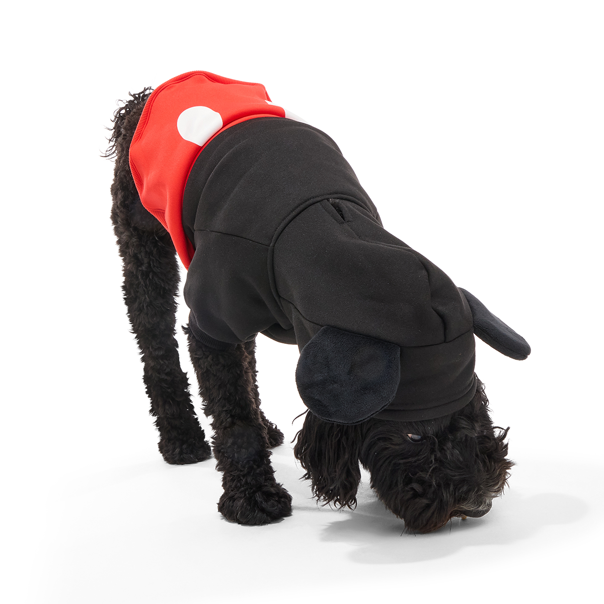 Mickey Mouse Dog Hoodie