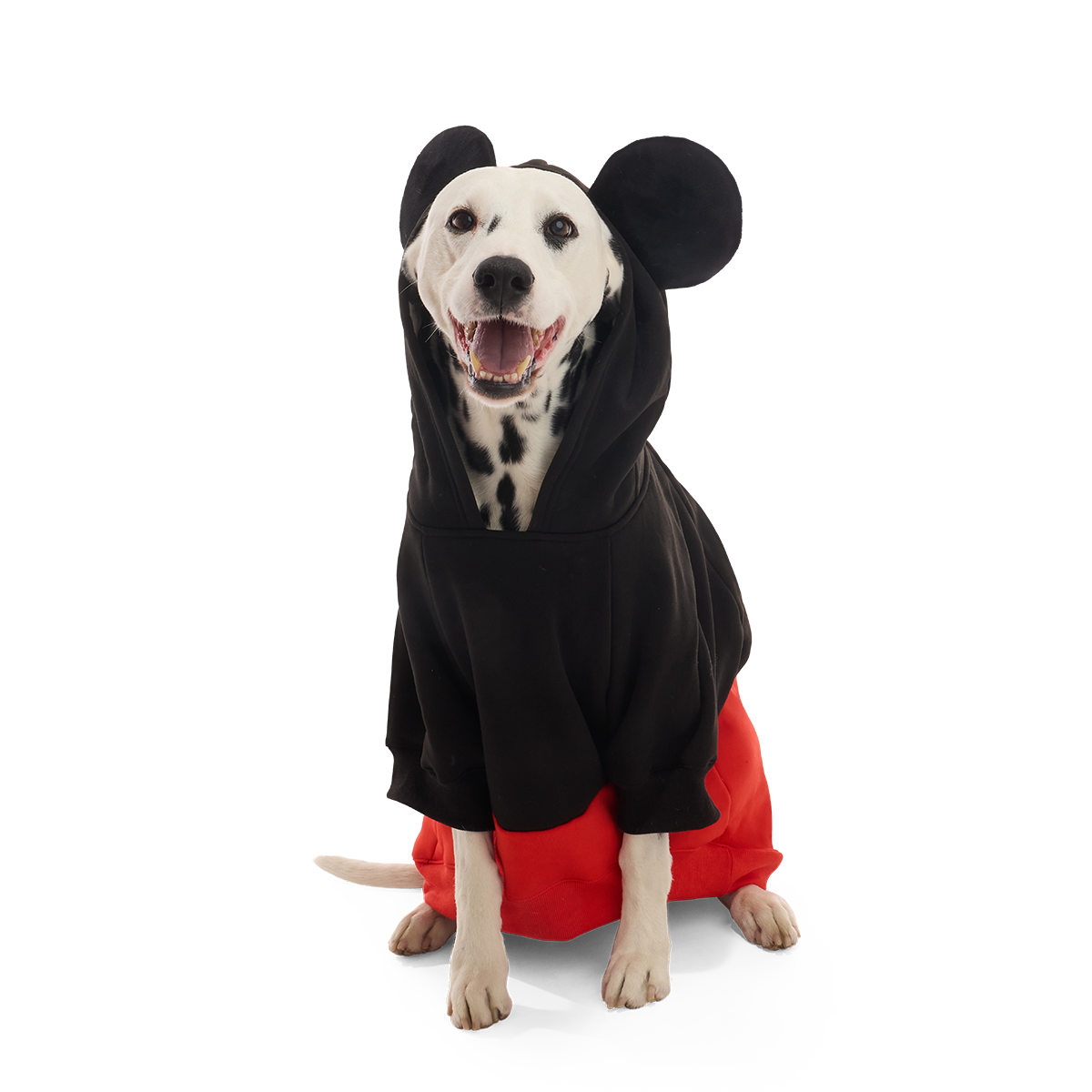 Mickey Mouse Dog Hoodie