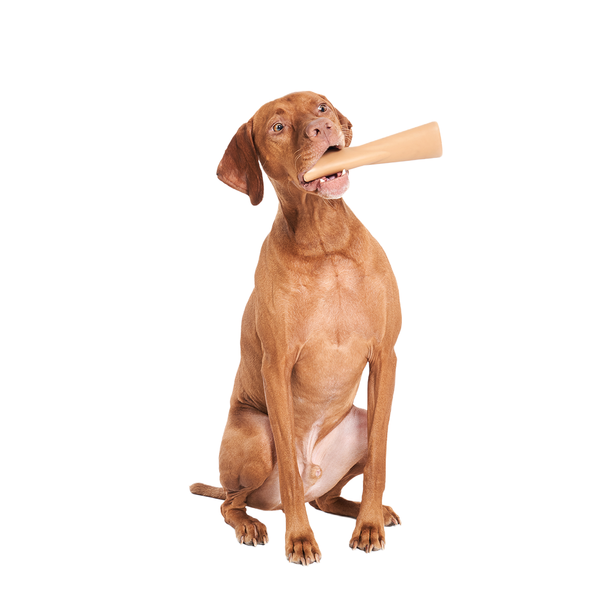 Mighty Bone Super Chewer Durable Gnaw Dog Toy