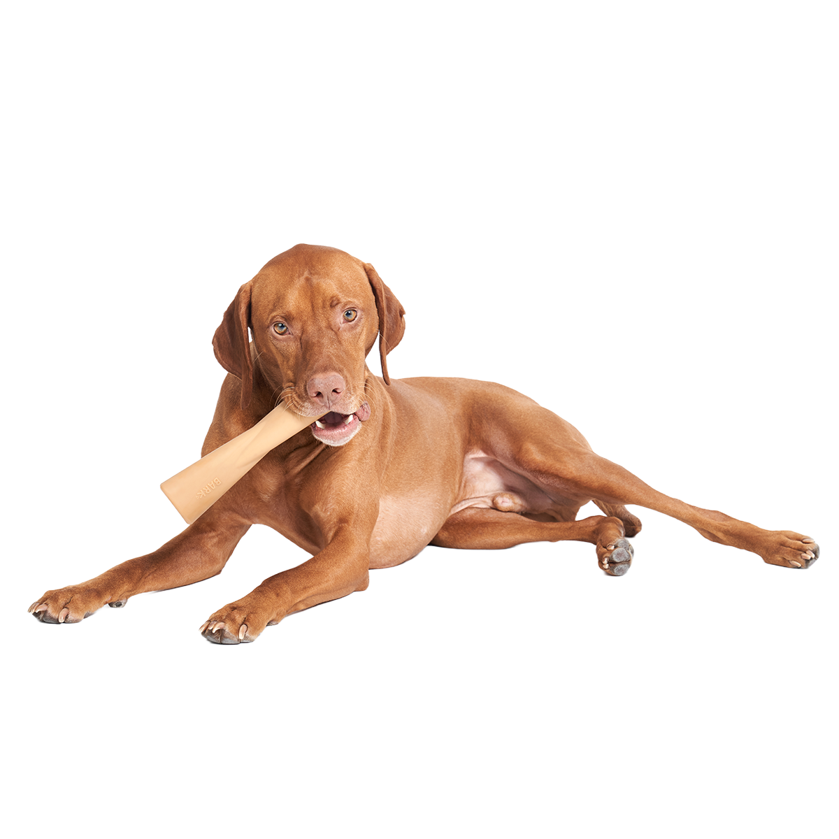 Mighty Bone Super Chewer Durable Gnaw Dog Toy