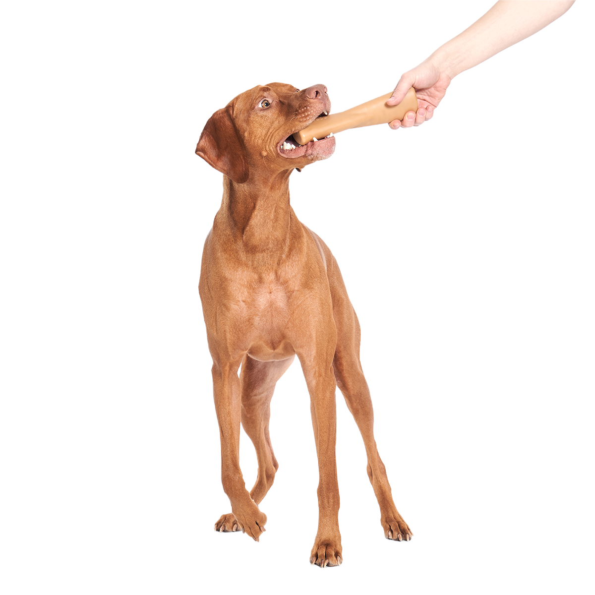 Mighty Bone Super Chewer Durable Gnaw Dog Toy