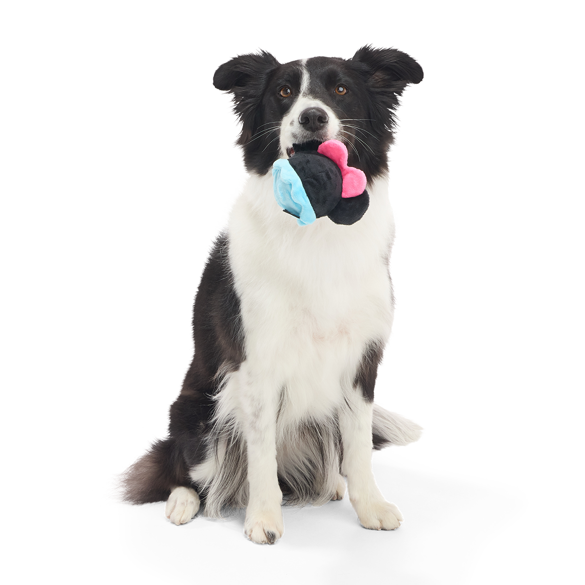 Minnie Mouse Ball Super Chewer Durable 2-in-1 + Fetch Dog Toy