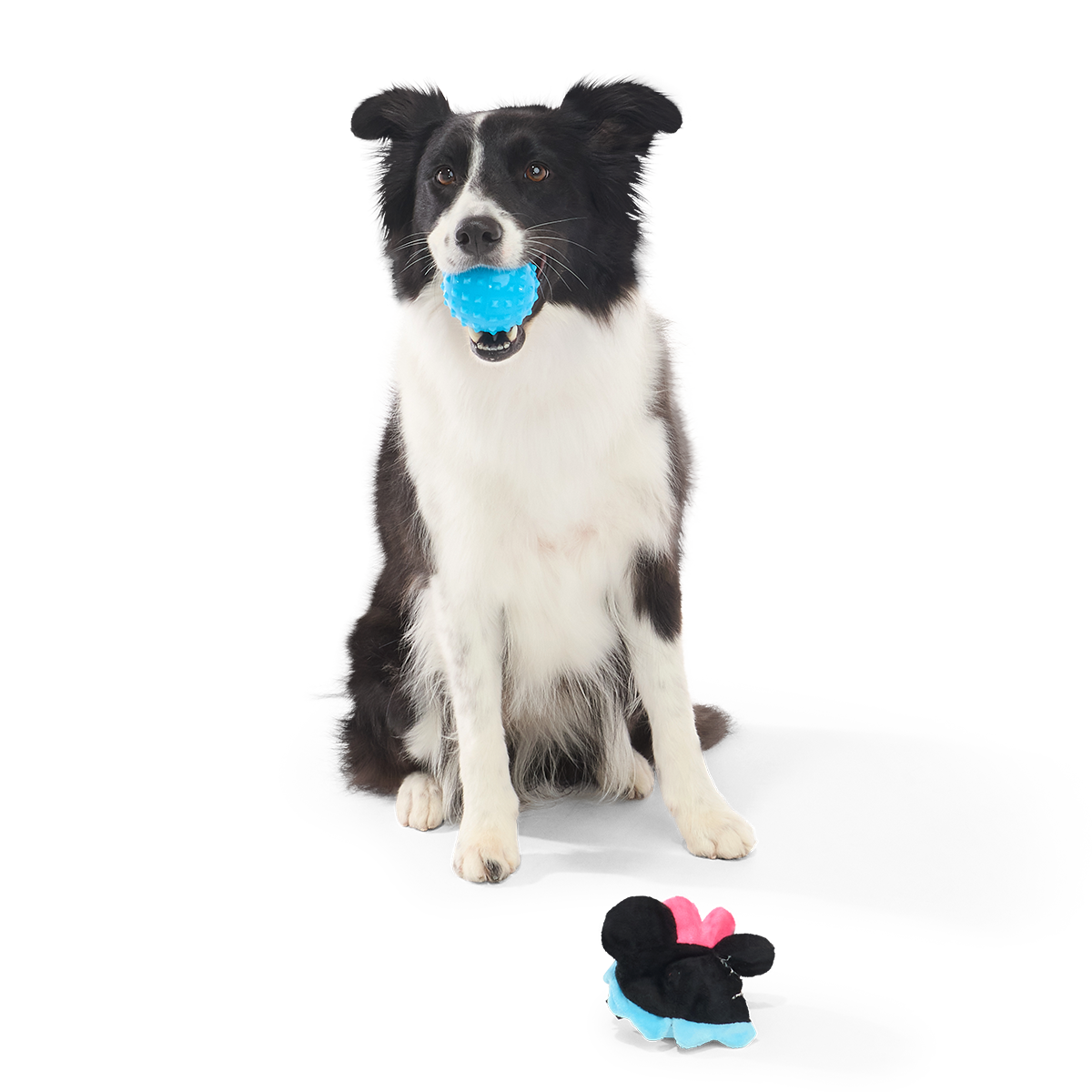 Minnie Mouse Ball Super Chewer Durable 2-in-1 + Fetch Dog Toy