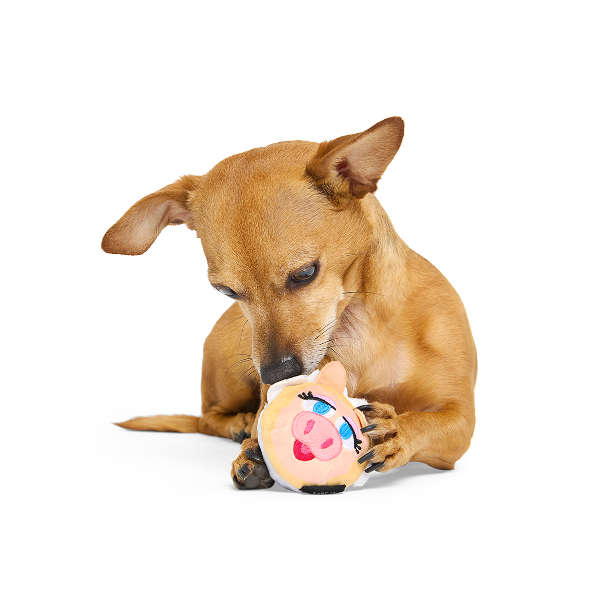 Miss Piggy as “Bouncing Emily Catch-it” Super Chewer Durable 2-in-1 + Fetch Dog Toy