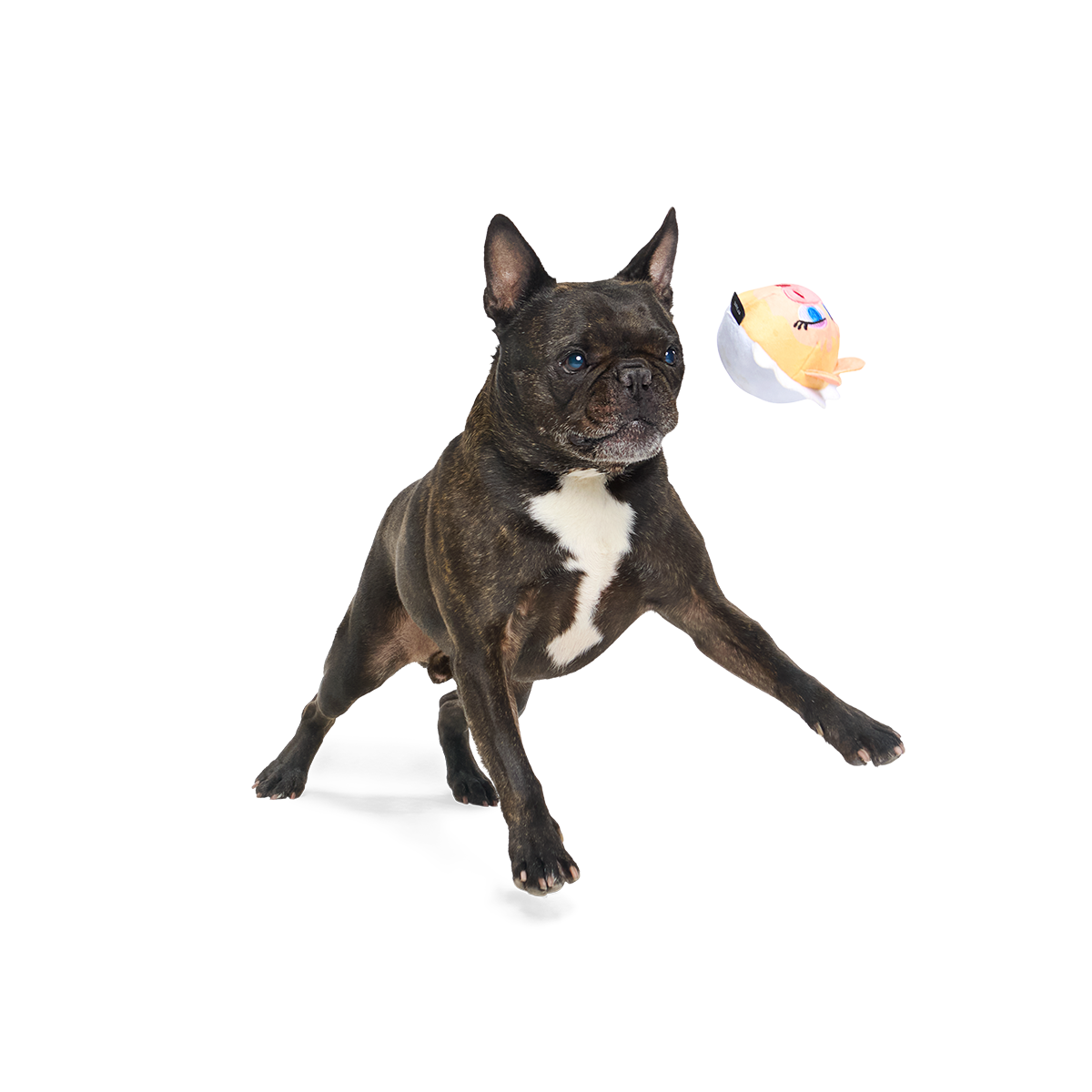 Miss Piggy as “Bouncing Emily Catch-it” Super Chewer Durable 2-in-1 + Fetch Dog Toy