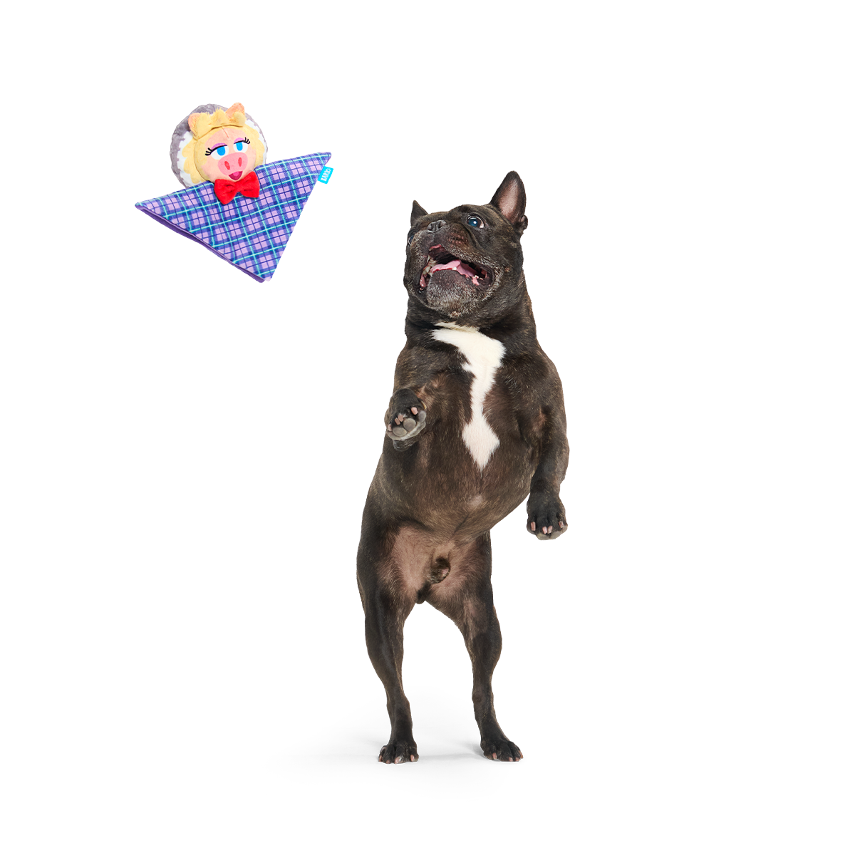 Miss Piggy as “Emily Catch-it” Plush Tug Dog Toy