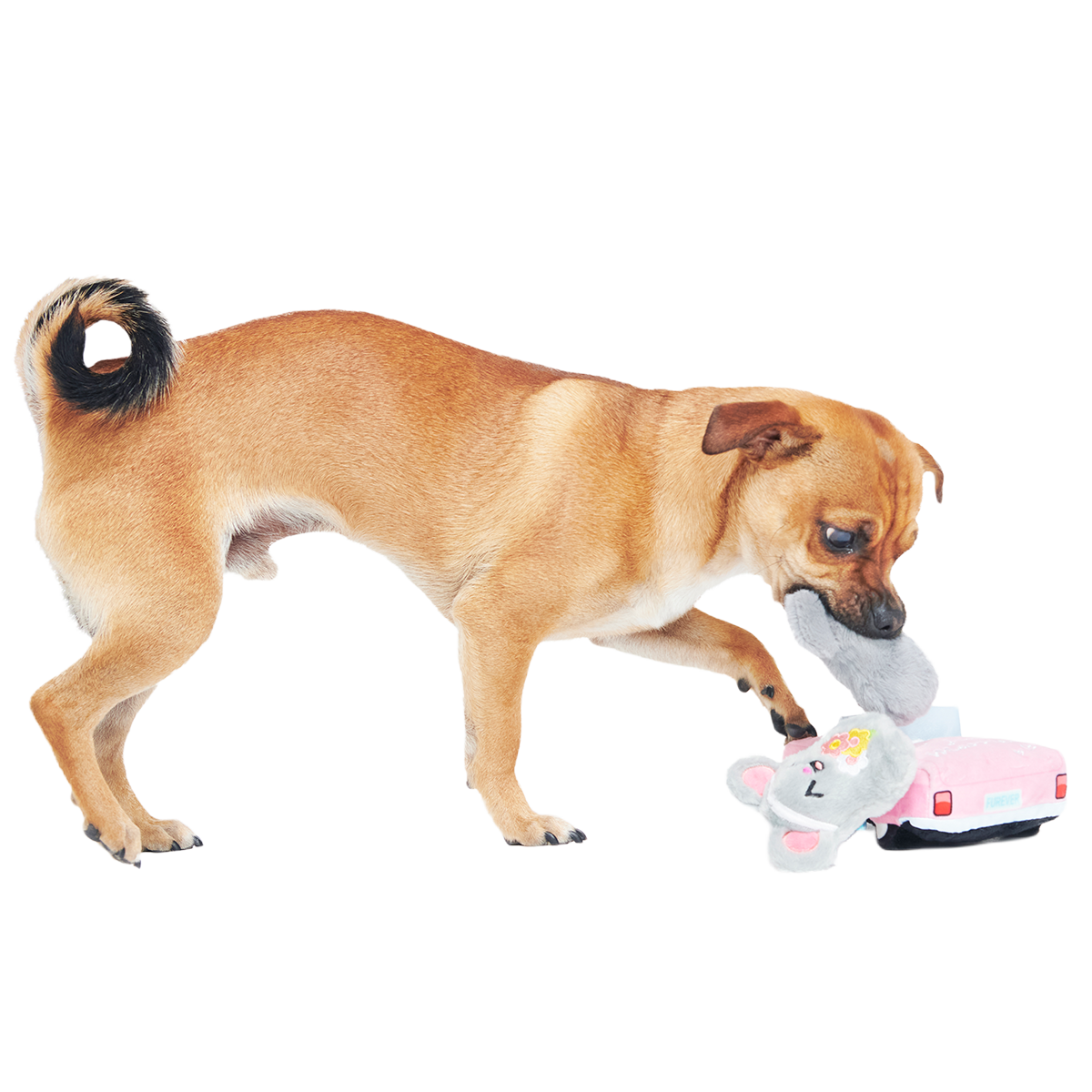 Mister and Mouses Plush Multi-Part Dog Toy