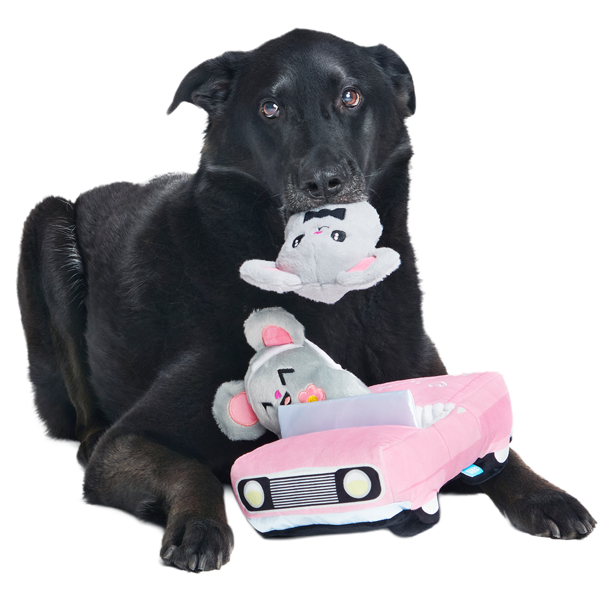 Mister and Mouses Plush Multi-Part Dog Toy