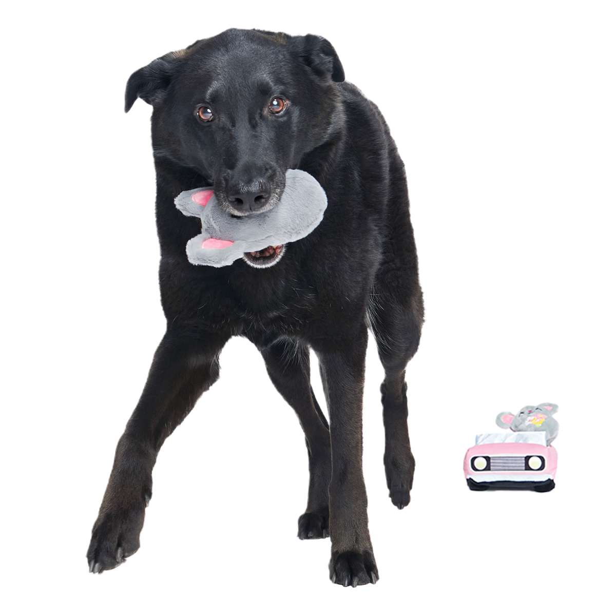 Mister and Mouses Plush Multi-Part Dog Toy