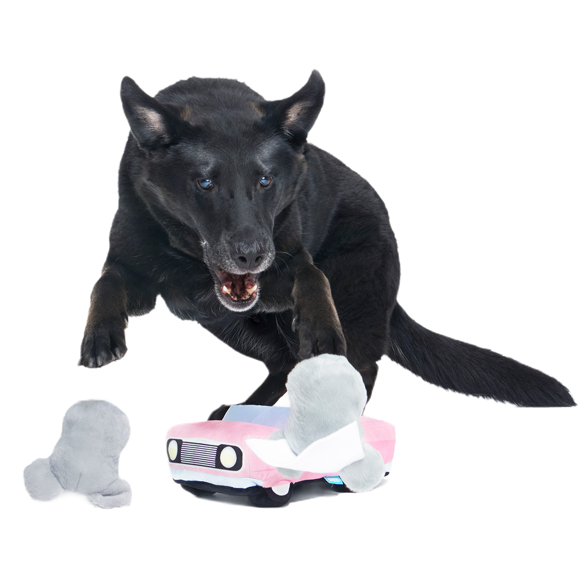 Mister and Mouses Plush Multi-Part Dog Toy