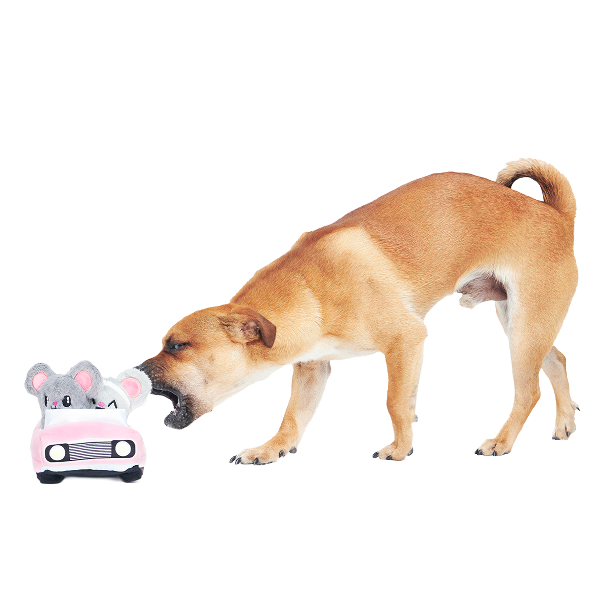 Mister and Mouses Plush Multi-Part Dog Toy