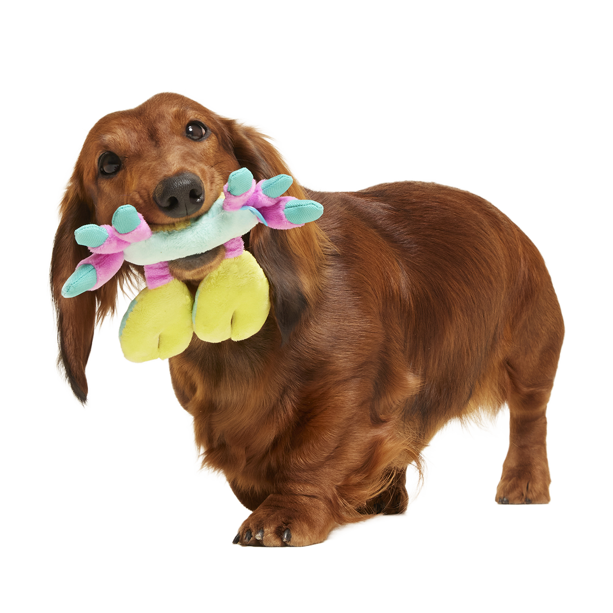 Moe The Mosaic Crab Plush Tug Dog Toy