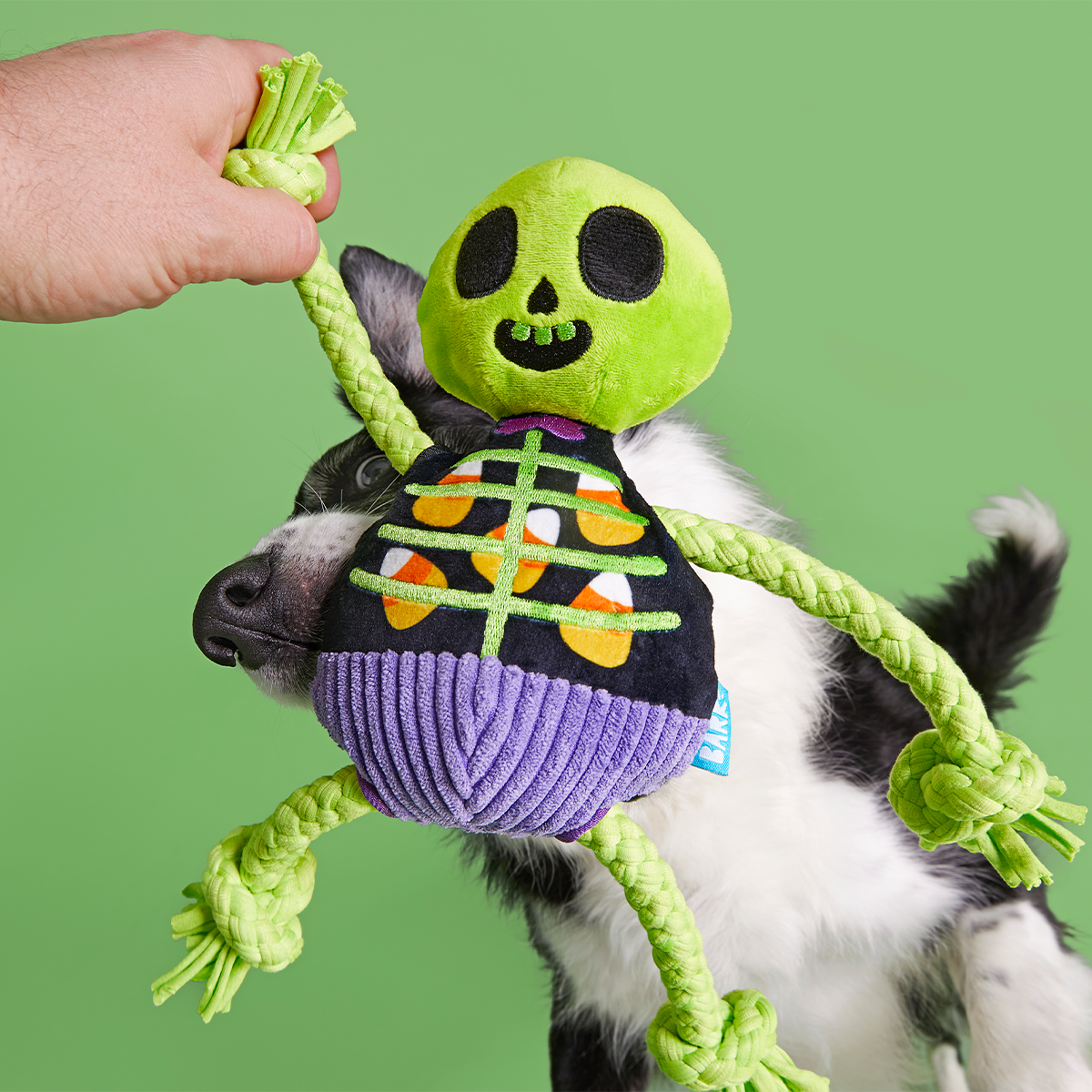 Moldy Barry Bones Plush Tug Dog Toy