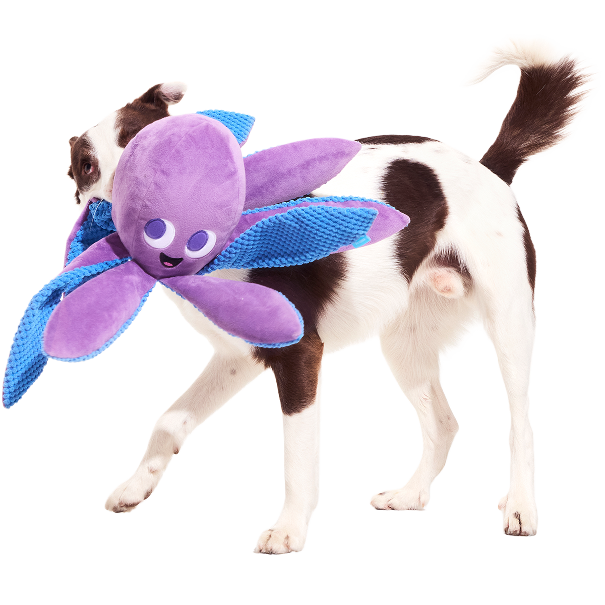 Mondo Ollie the Octopus Plush Tug + Extra-Large Dog Toy