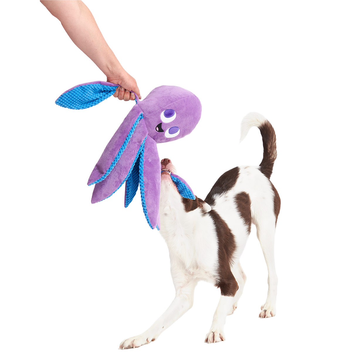 Mondo Ollie the Octopus Plush Tug + Extra-Large Dog Toy