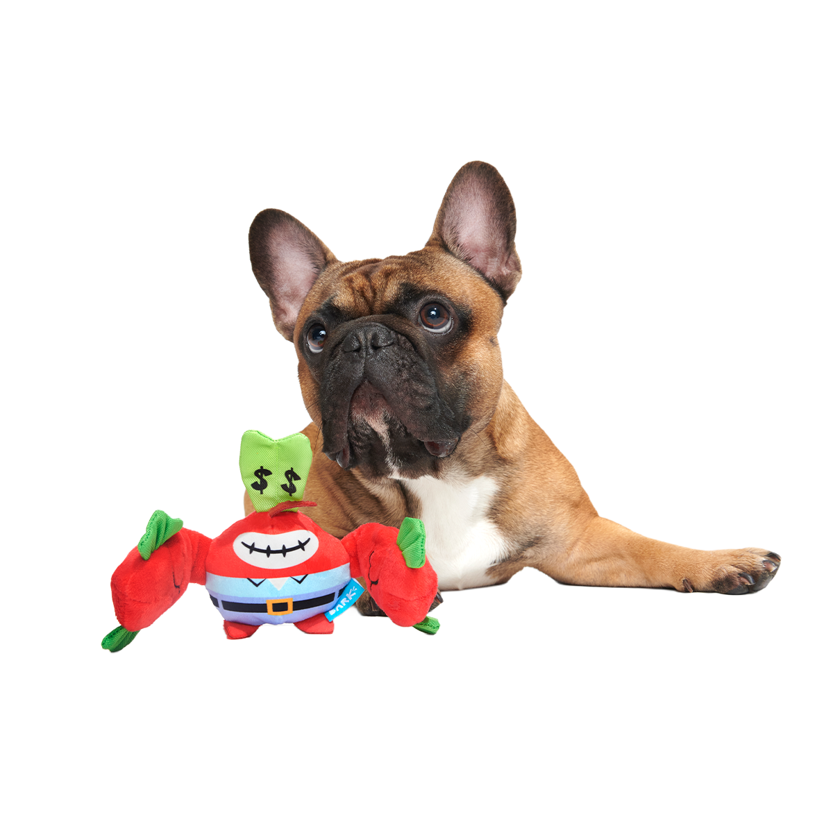 Money-Tugging Mr. Krabs Plush Tug Dog Toy