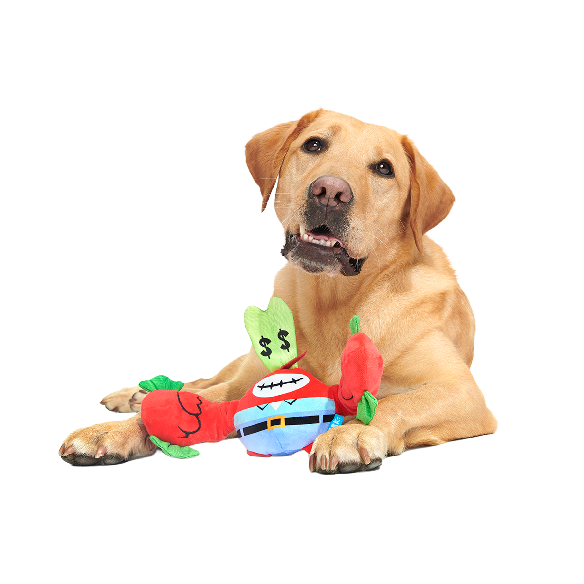 Money-Tugging Mr. Krabs Plush Tug Dog Toy