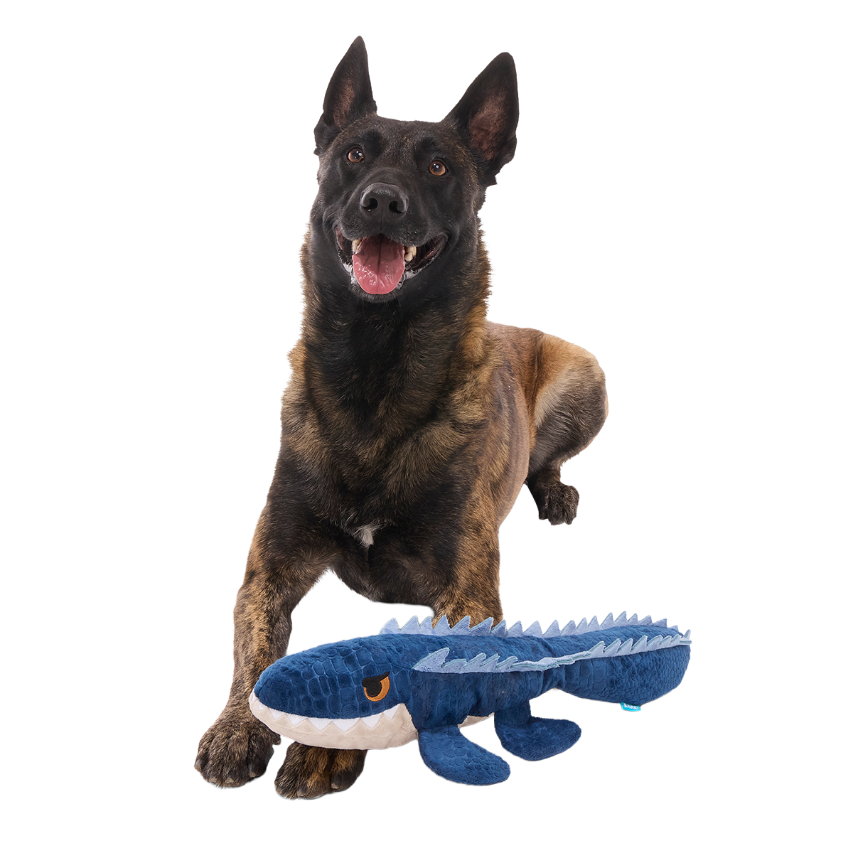 Mosasaurus Plush 2-in-1 + Tug Dog Toy