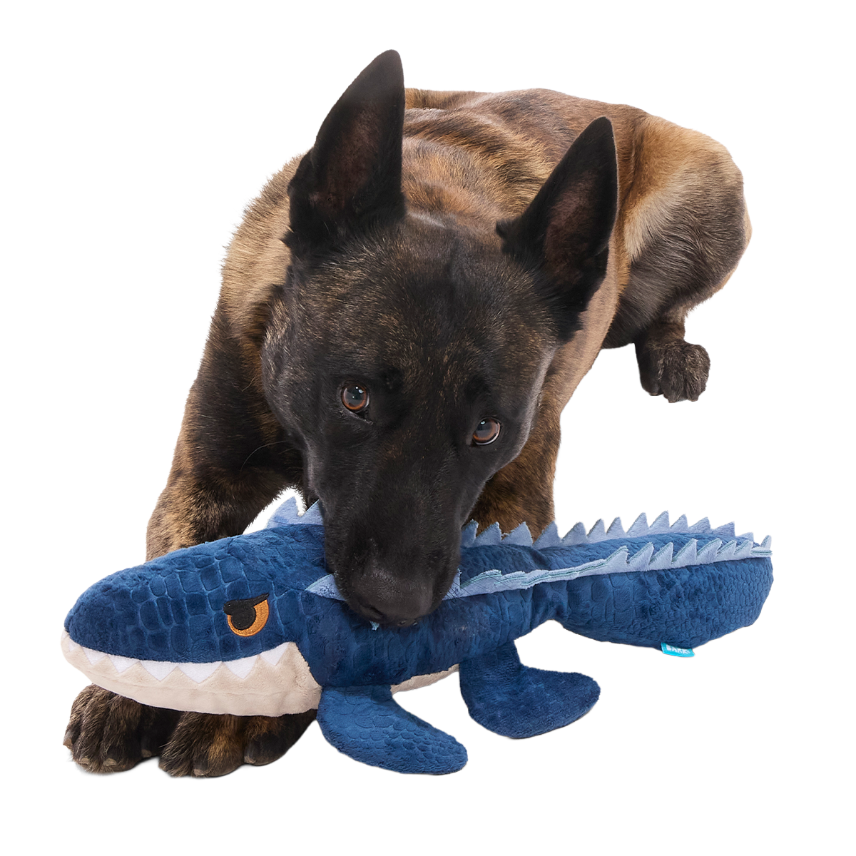 Mosasaurus Plush 2-in-1 + Tug Dog Toy