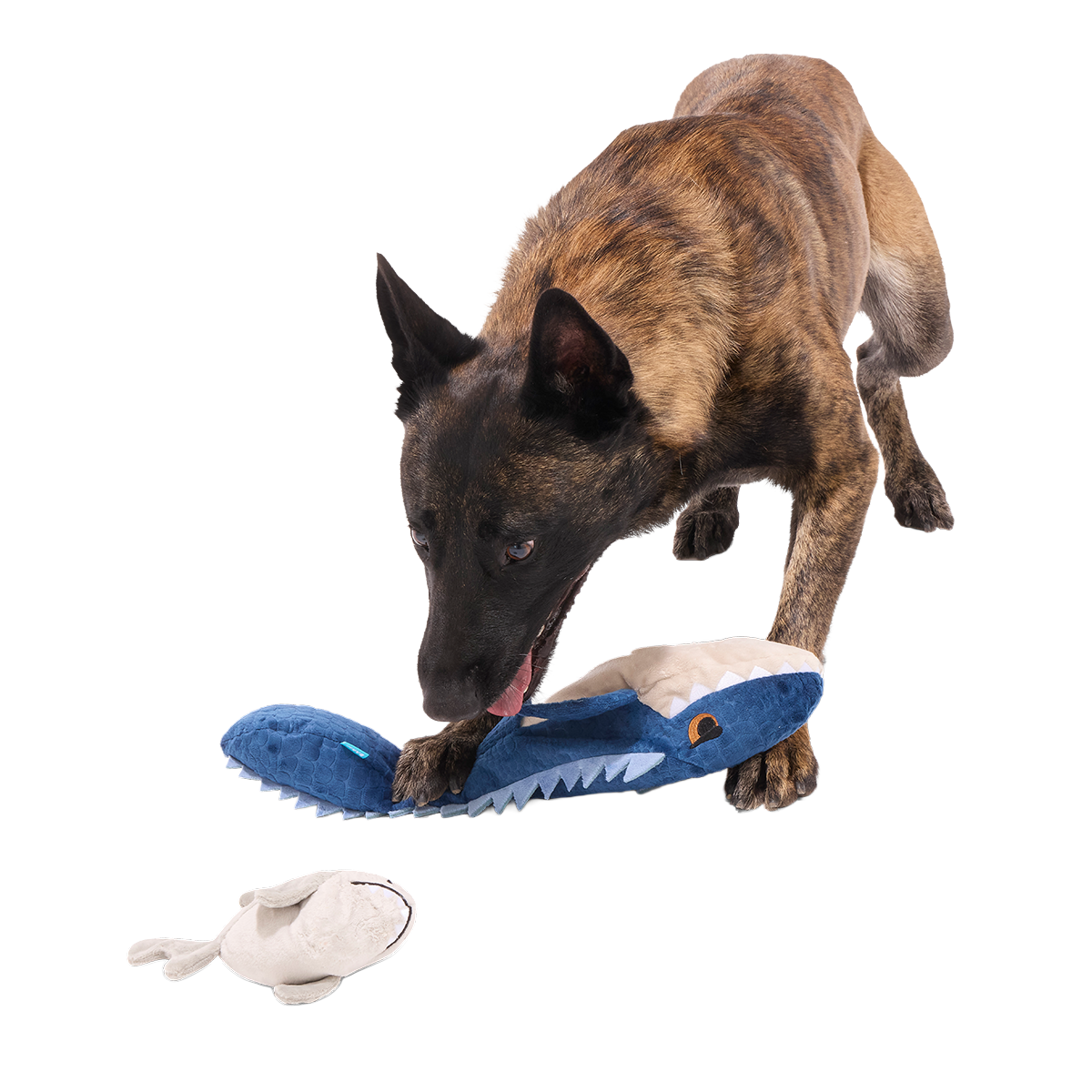 Mosasaurus Plush 2-in-1 + Tug Dog Toy