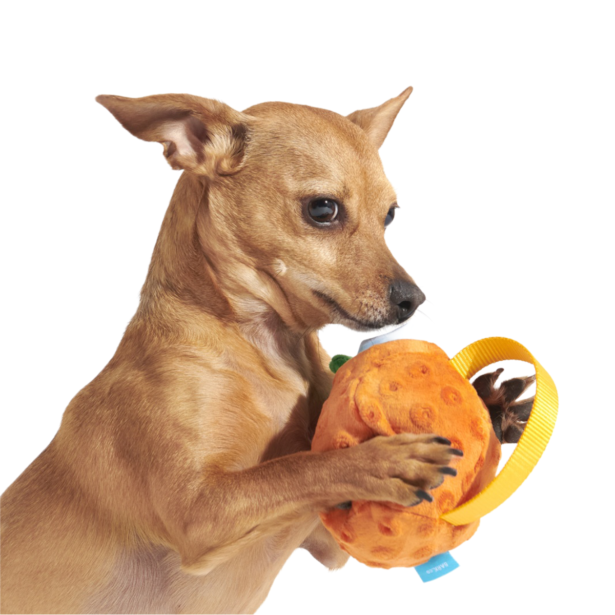 Cocktail Club, Plush Cocktail Monthly Dog Toys