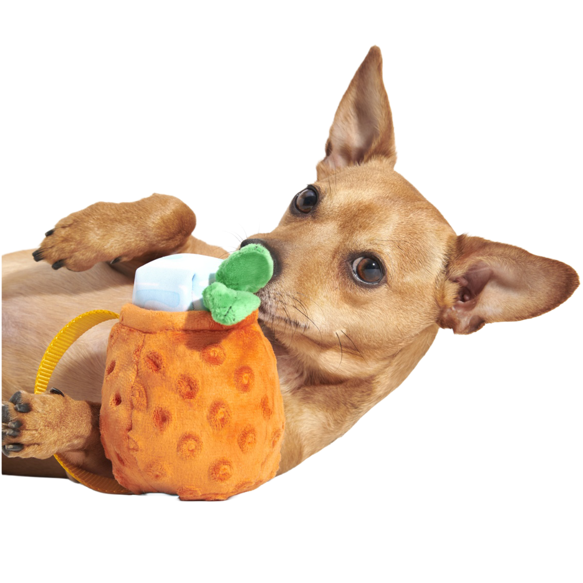 Cocktail Club, Plush Cocktail Monthly Dog Toys