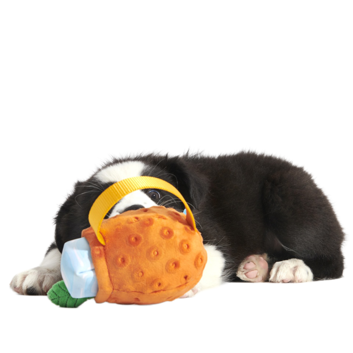 Cocktail Club, Plush Cocktail Monthly Dog Toys