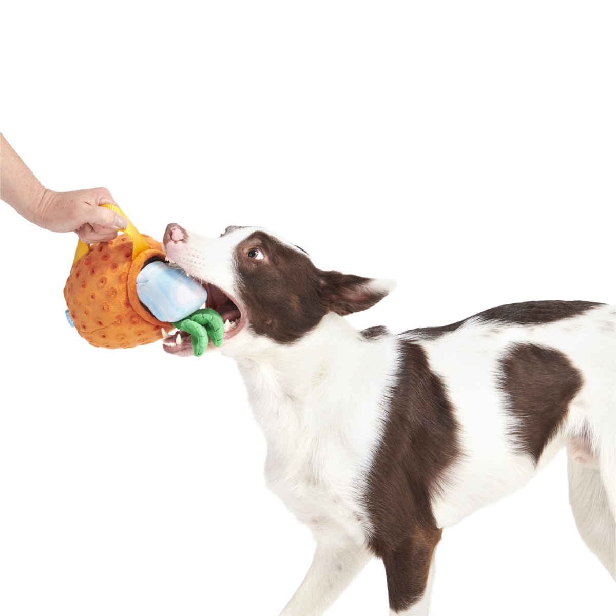 Cocktail Club, Plush Cocktail Monthly Dog Toys