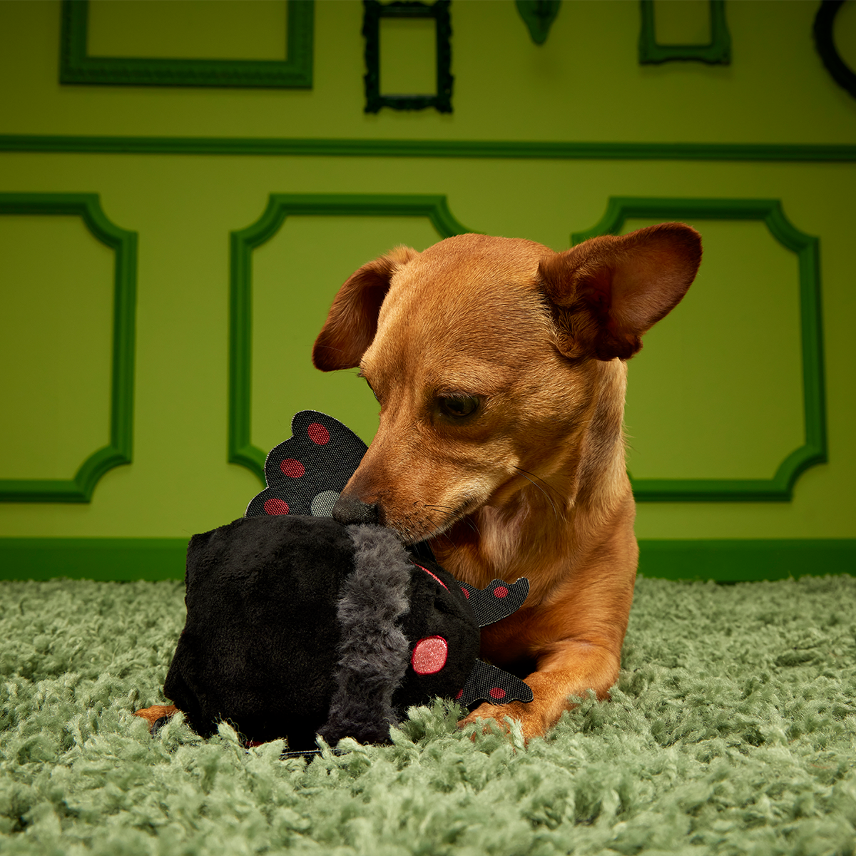 Mothmutt Super Chewer Durable 2-in-1 + Enrichment Dog Toy
