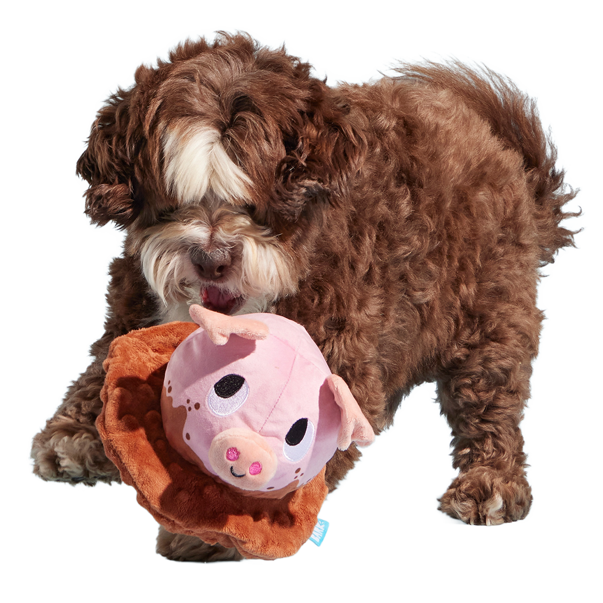 Muddy Maude Plush Fetch Dog Toy