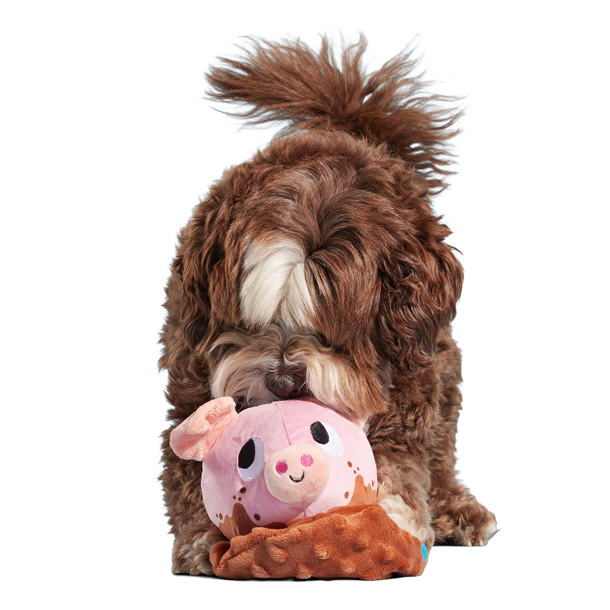 Muddy Maude Plush Fetch Dog Toy