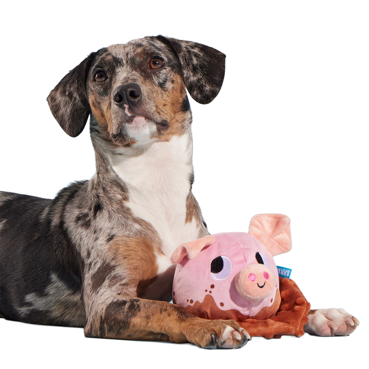 Muddy Maude Plush Fetch Dog Toy