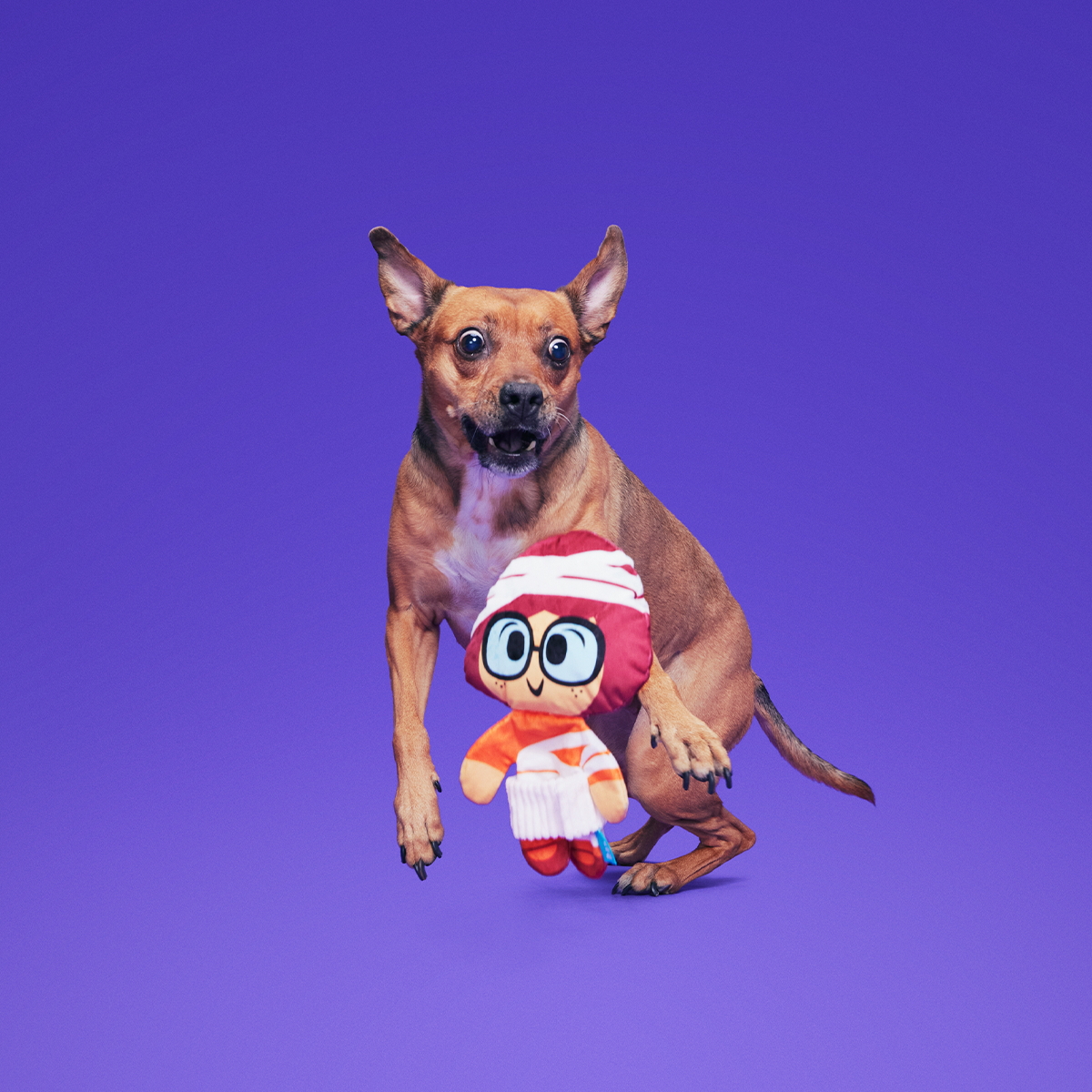 Mummy Velma™ Plush Tug Dog Toy