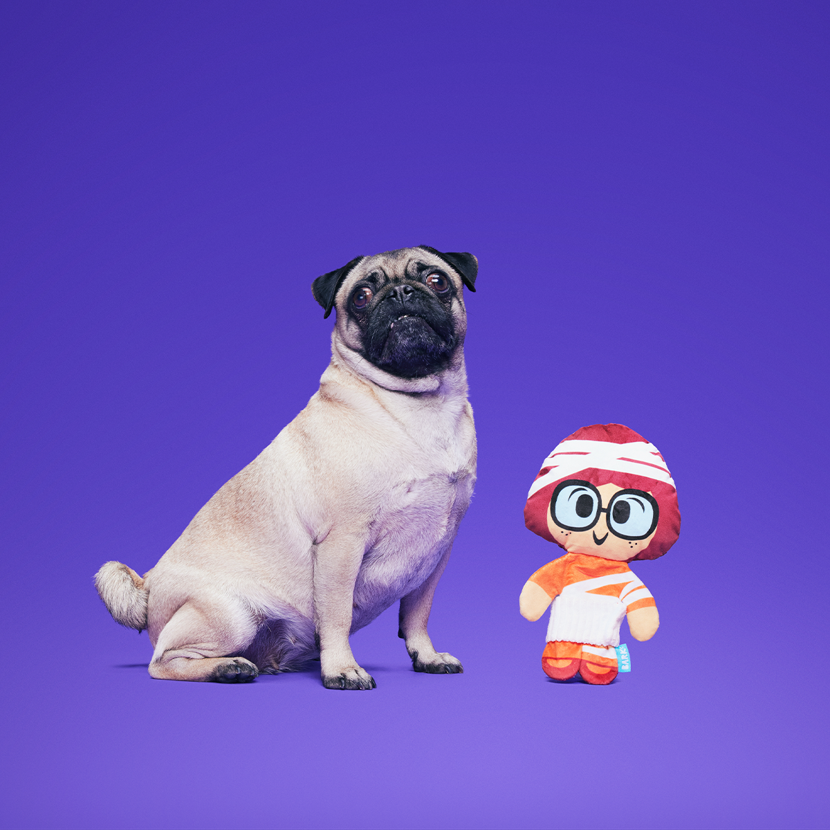 Mummy Velma™ Plush Tug Dog Toy
