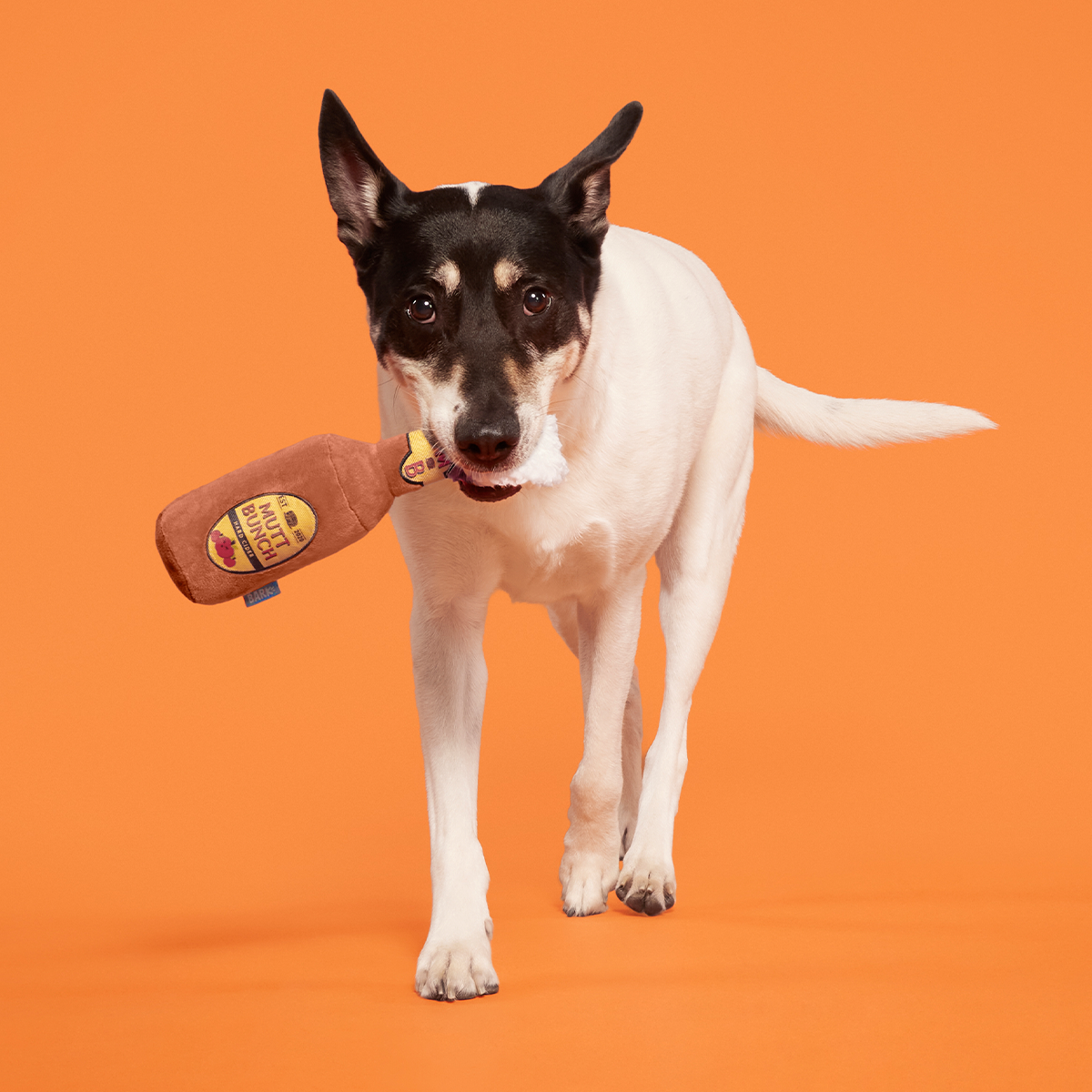 Mutt Bunch Hard Cider Plush Tug Dog Toy