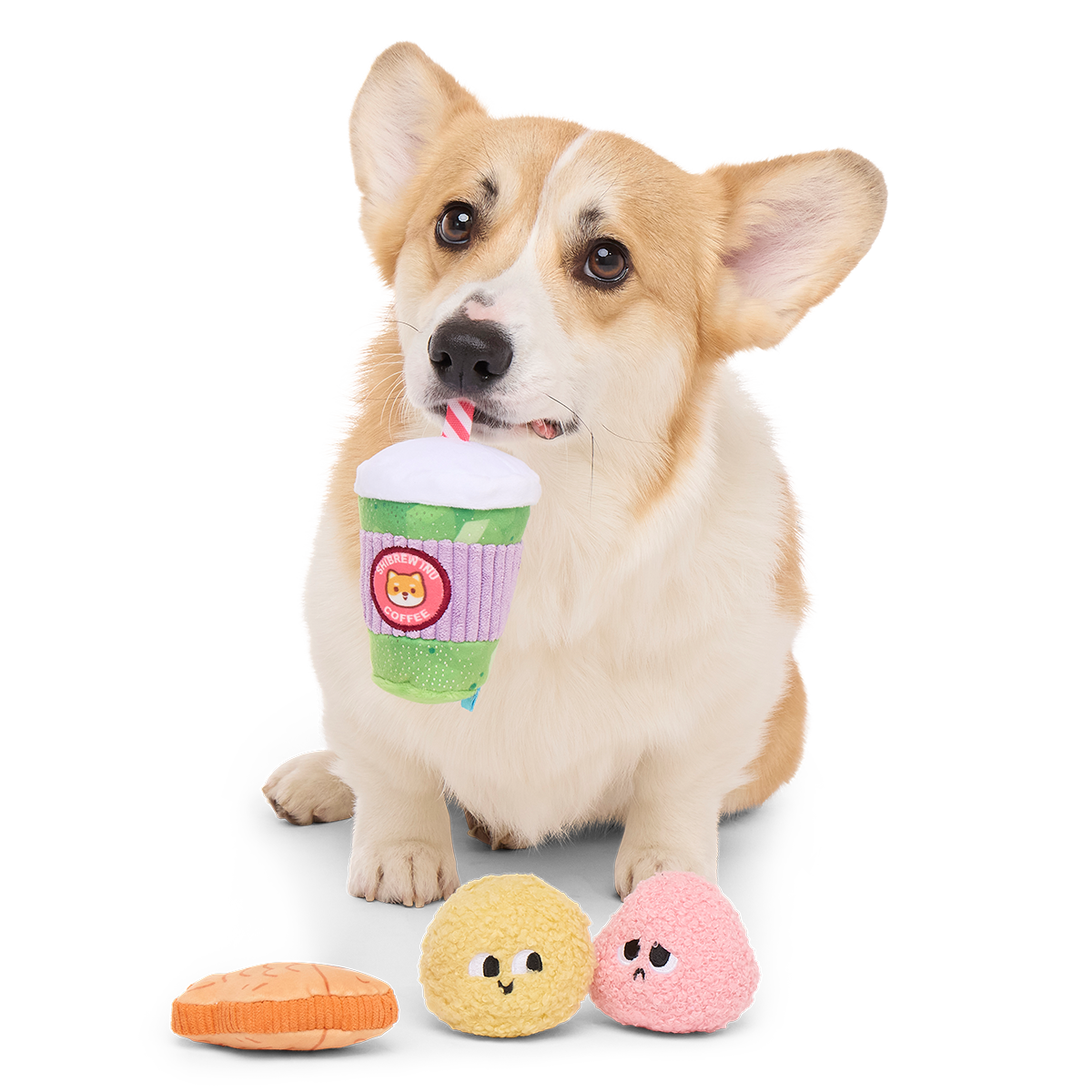 Muttcha & Mochi Mates Plush Multi-Part Dog Toy