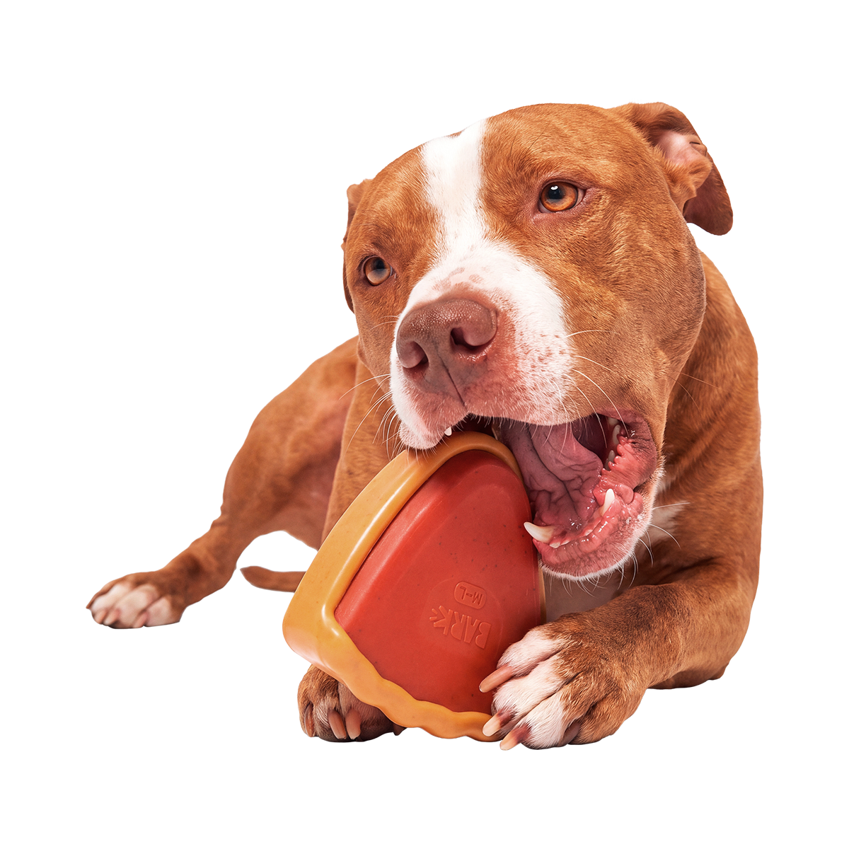 Mutter Pecan Pie Super Chewer Durable Gnaw Dog Toy