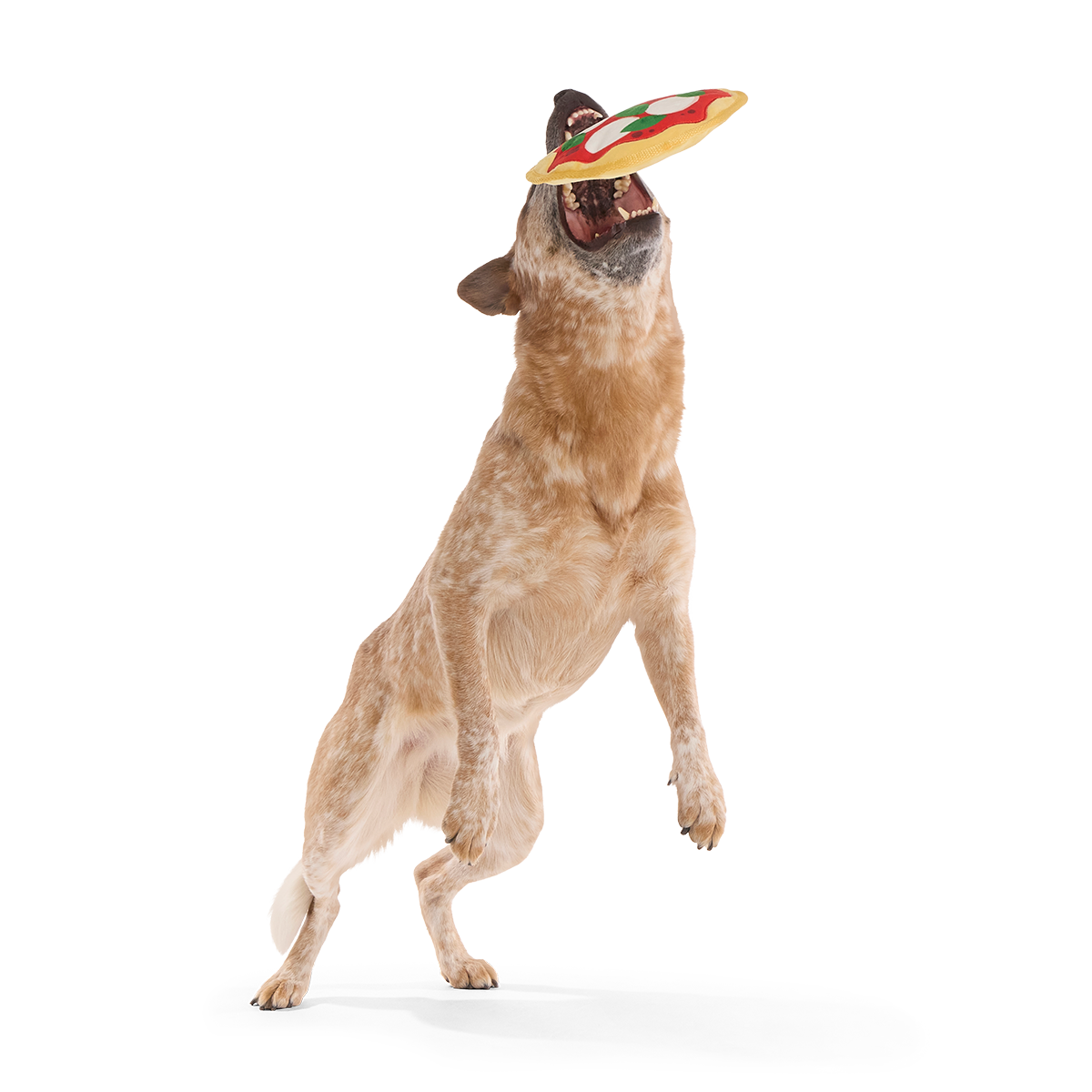 Muttzarella Pizza Plush Fetch Dog Toy