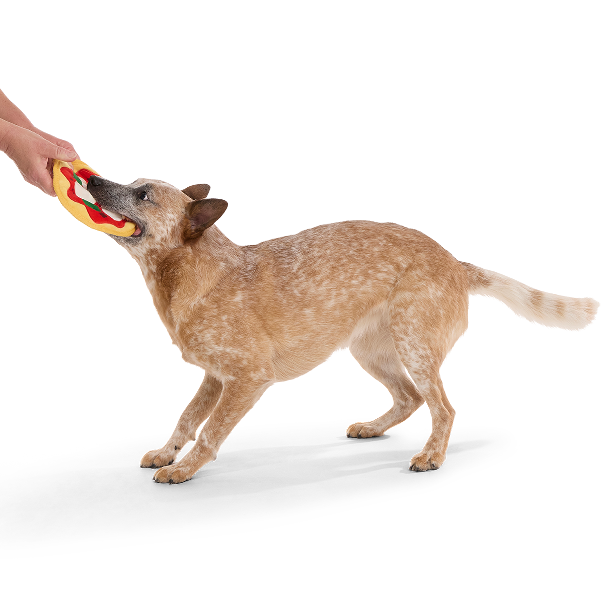 Muttzarella Pizza Plush Fetch Dog Toy