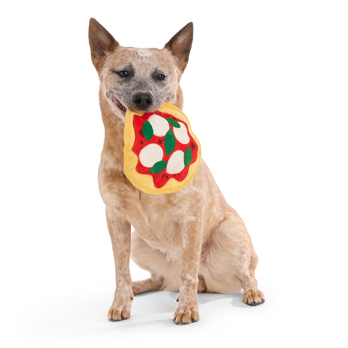 Muttzarella Pizza Plush Fetch Dog Toy
