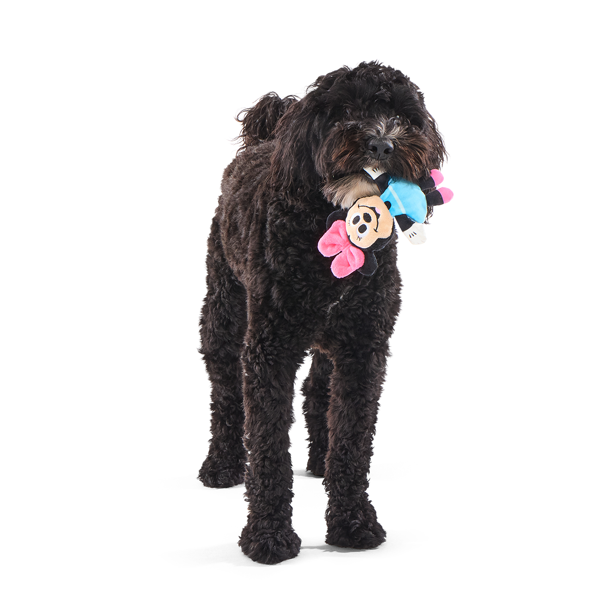 My Pal Minnie Plush Tug Dog Toy