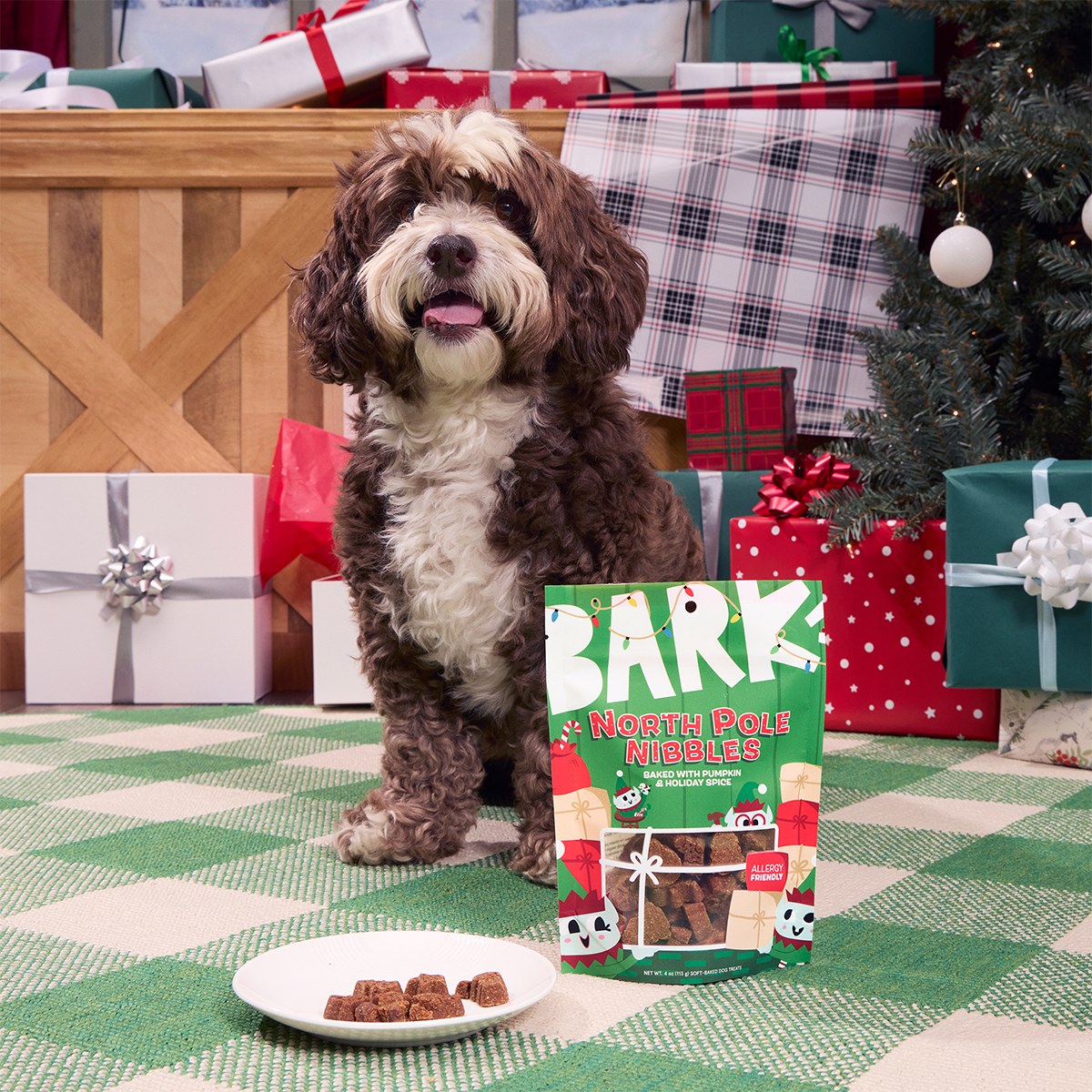 Ho Ho Go Dog Toy and Dog Treat Bundle
