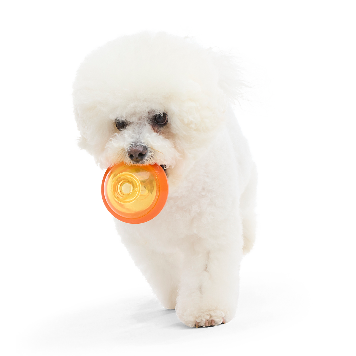 Nebula Super Chewer Durable Fetch + Enrichment Dog Toy