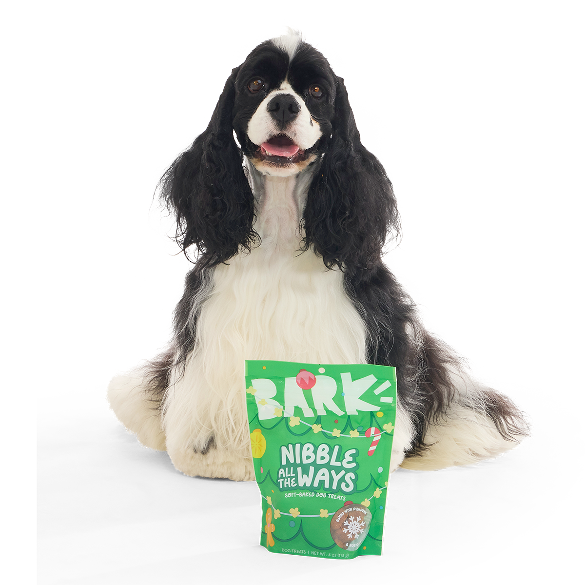 Nibble All the Ways Pumpkin Soft-Baked Dog Treats, 4 oz