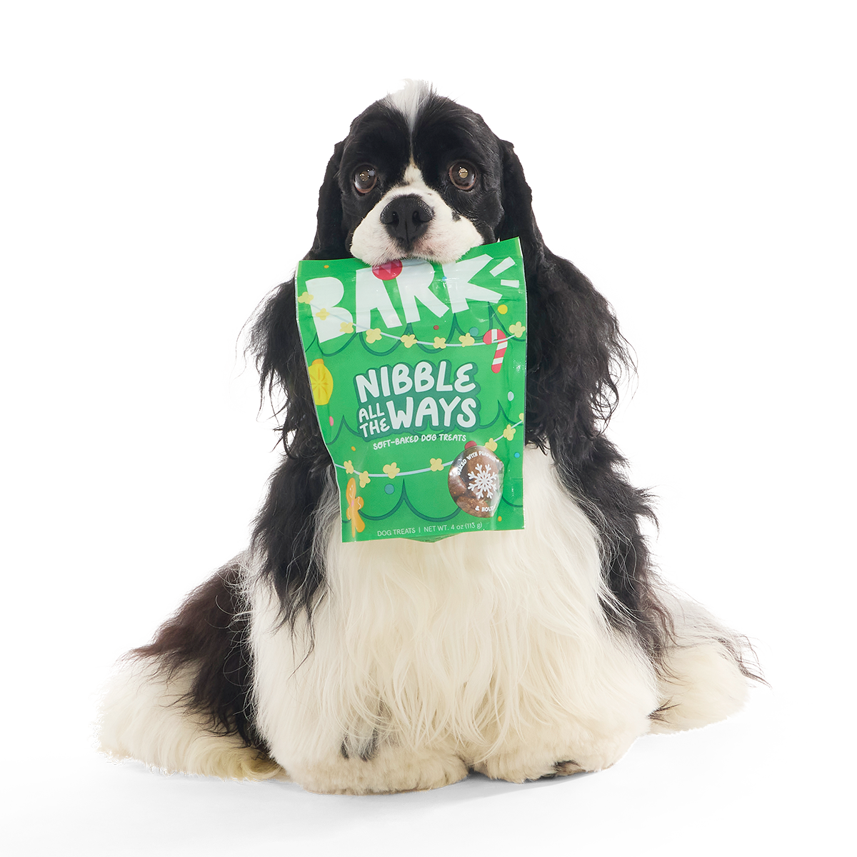 Nibble All the Ways Pumpkin Soft-Baked Dog Treats, 4 oz