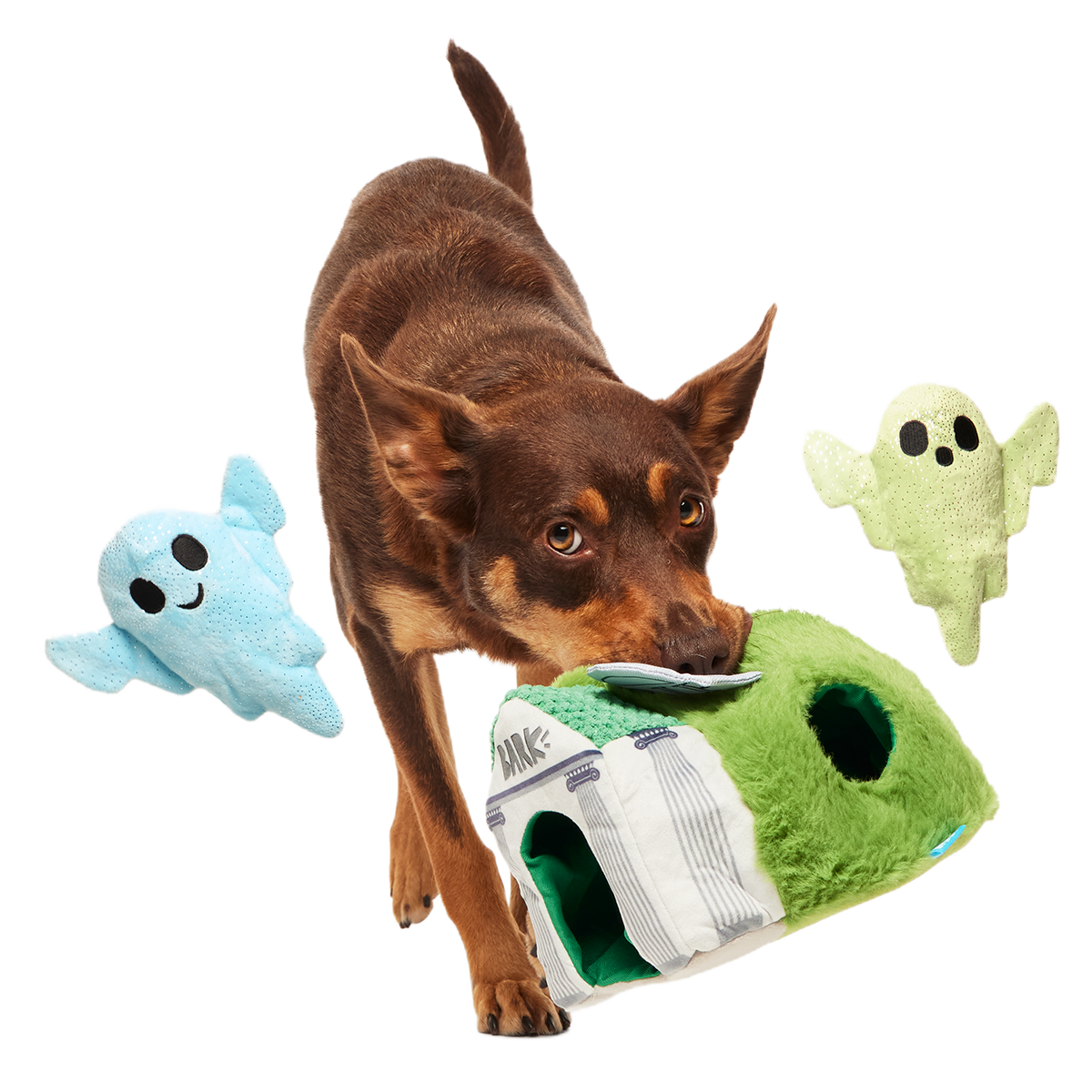 Now You See 'Em Mausoleum Plush Multi-Part + Enrichment Dog Toy